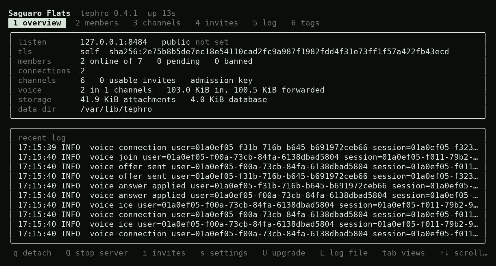 The server's status view in a terminal: listen address, certificate fingerprint, members online, voice traffic, storage and the recent log